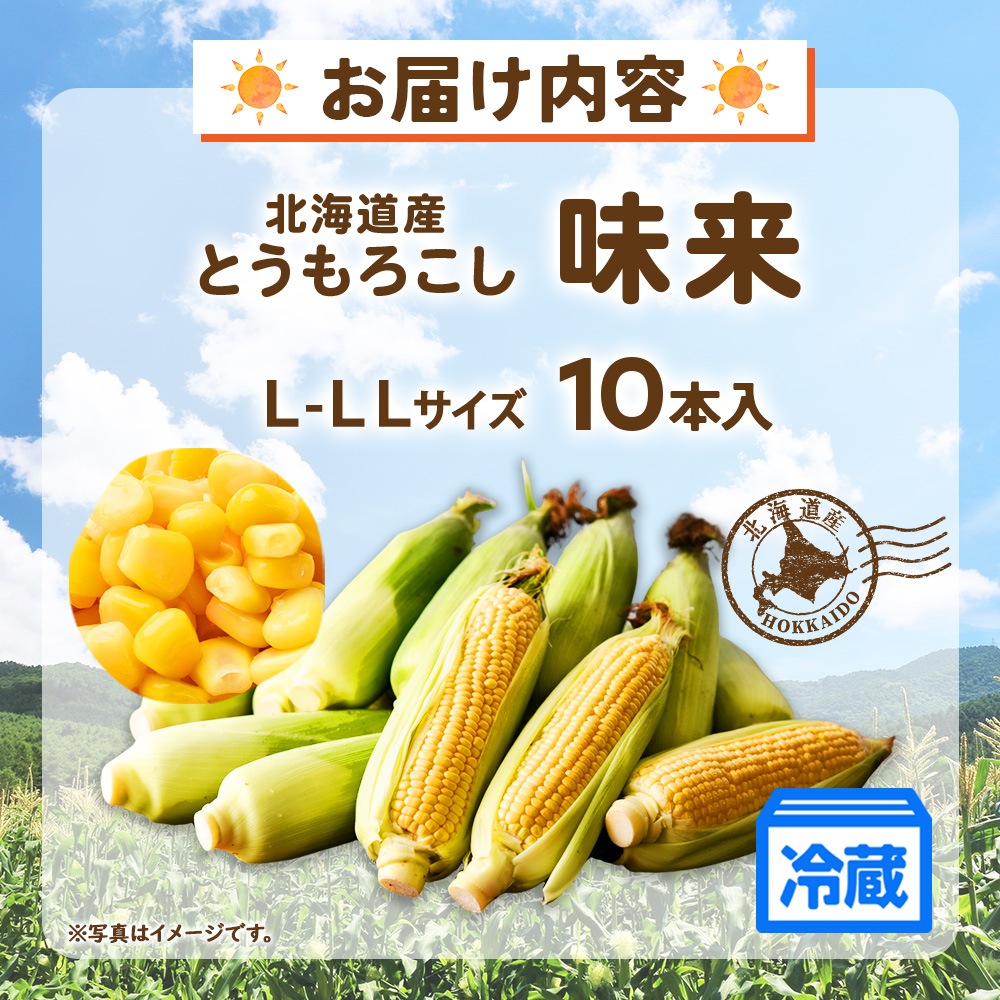 新鮮！とうもろこしはやっぱり北海道産｜未来（みらい）10本