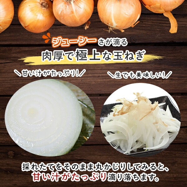 射手矢農園の泉州たまねぎ9kg 大阪 泉佐野市 射手矢農園 玉ねぎ