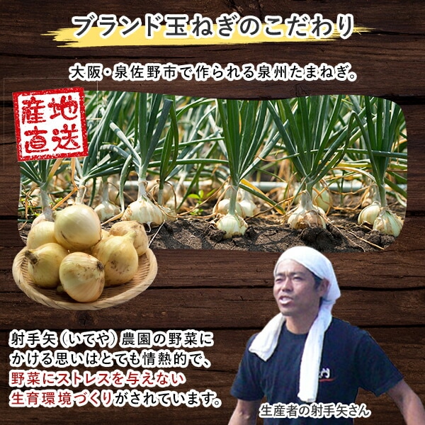 射手矢農園の泉州たまねぎ9kg 大阪 泉佐野市 射手矢農園 玉ねぎ