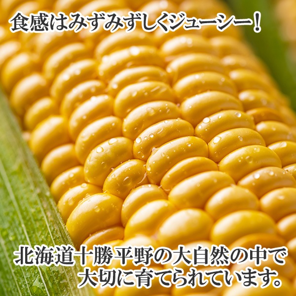 ̳ƻ Ȥ ̣ ߤ餤 30(L-LL/13kg) ȥ/BBQ/С٥塼/̹񤫤£ʪ/ ̵ вͽꡧ8-9 Բ