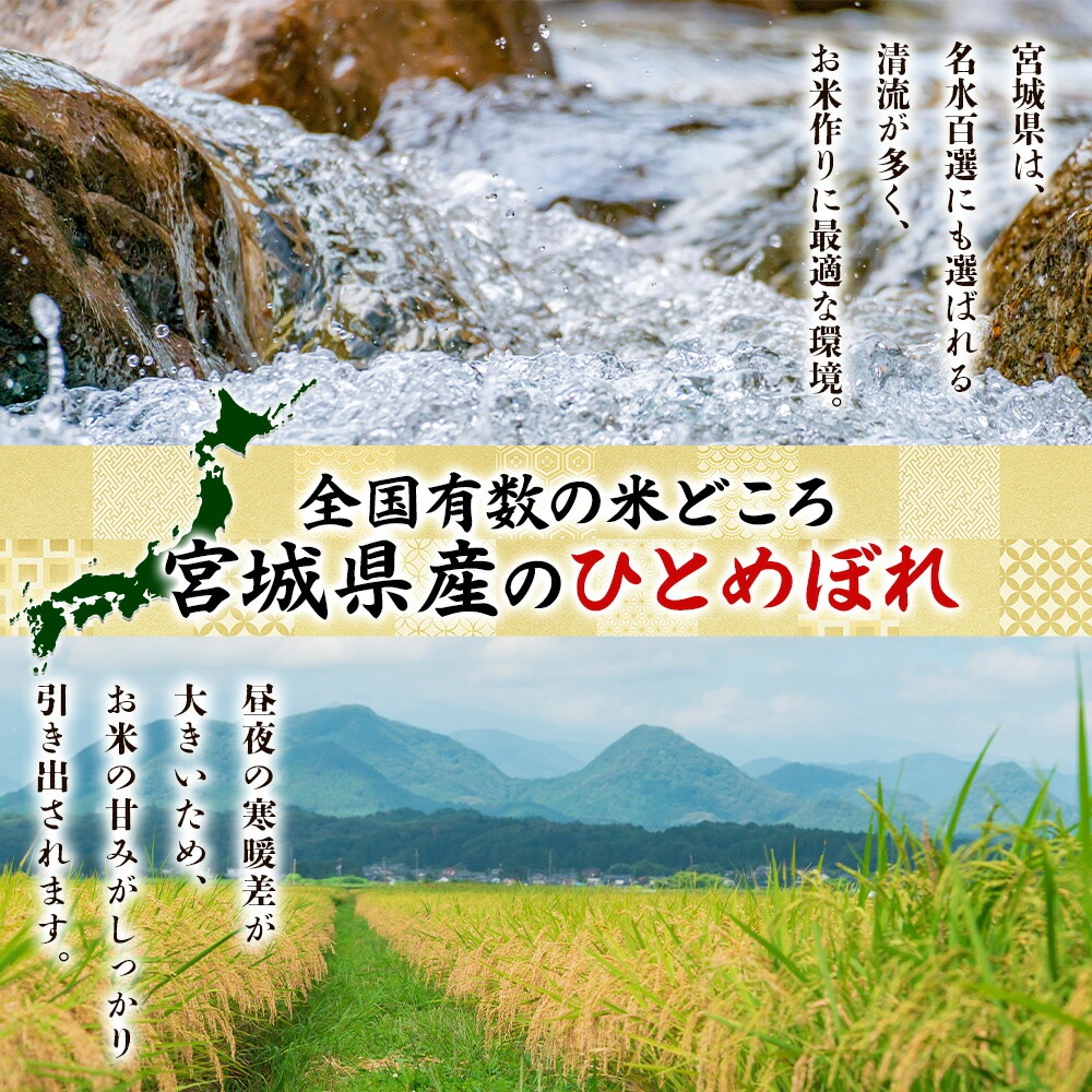 宮城県産 ひとめぼれ 計20kg 宮城県 備蓄 米 コメ 白米 精米 お米