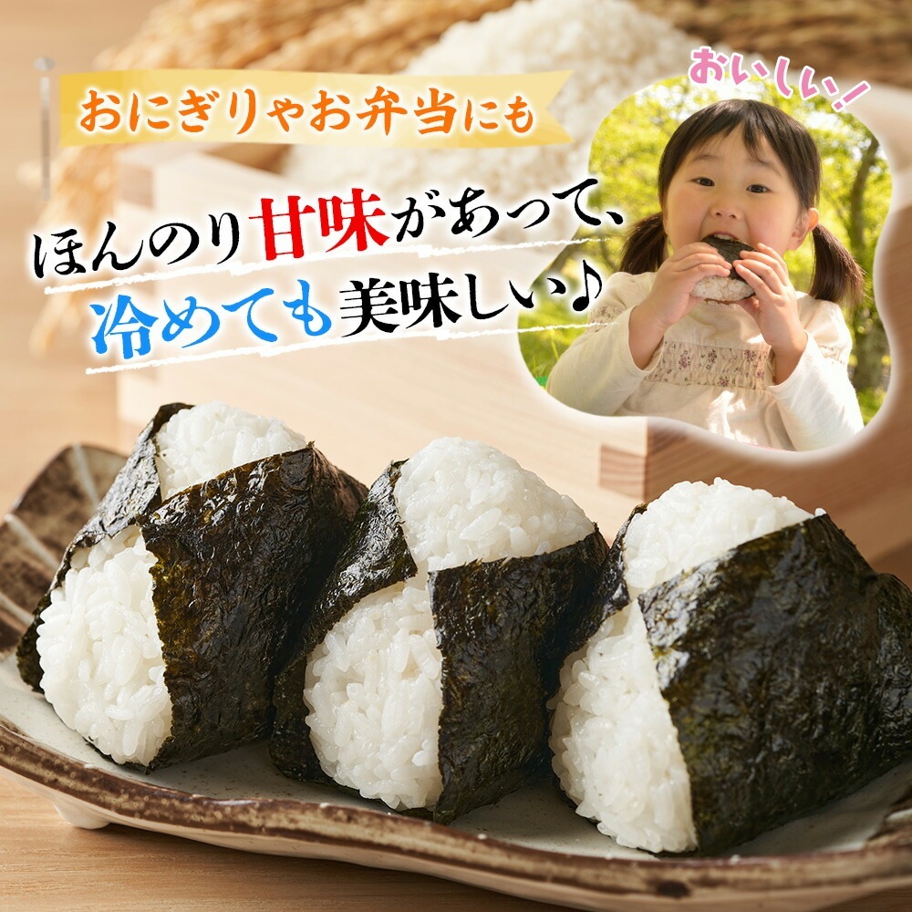 宮城県産 ひとめぼれ 計20kg 宮城県 備蓄 米 コメ 白米 精米 お米