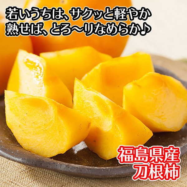  ̵ ʡ縩 Ậ  7kg 36 ʤ ͤʤ ʪ ե롼 ե ץ쥼 ̹񤫤£ʪ вͽꡧ10- Բ