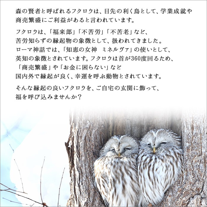 ɽ  ⤭Ħ  դɤ󤰤 襤 ̱ ̹񤫤£ʪ ̵