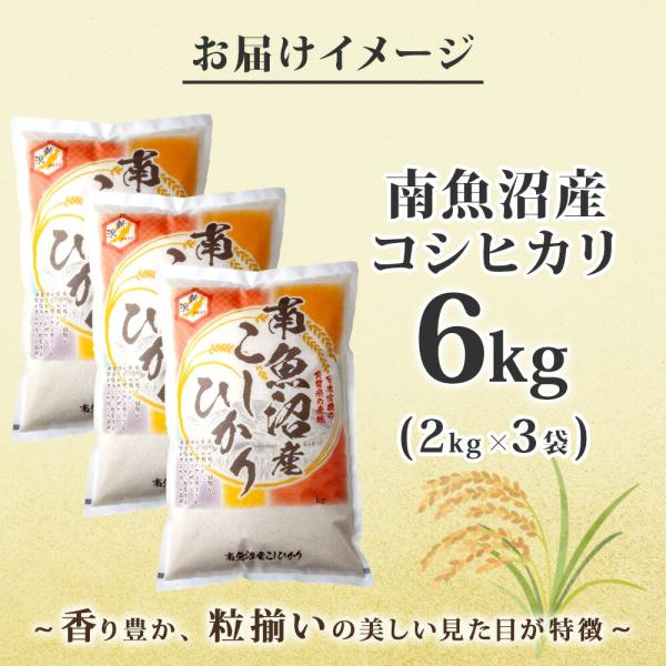 » ҥ 6kg » Ҥ 㻺 㸩     ľ ͵ ե  ̵