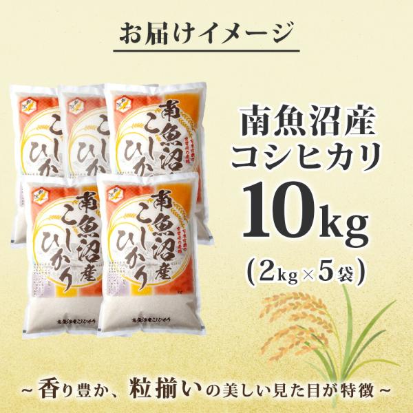 » ҥ 10kg » Ҥ 㻺 㸩     ľ ͵ ե  ̵