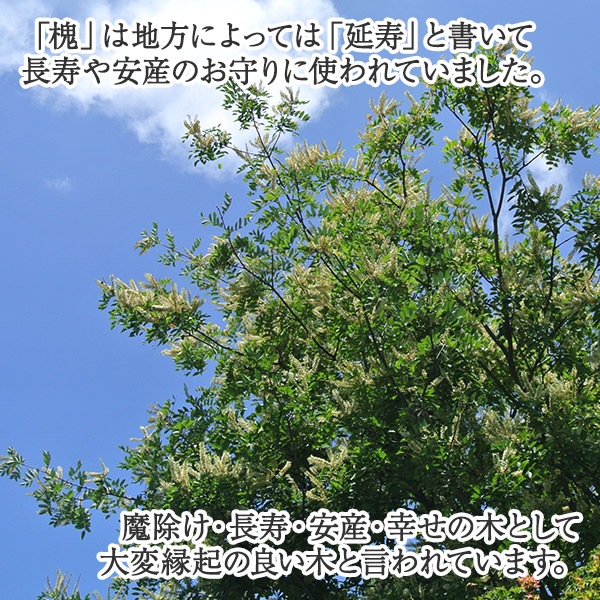 Ħ̾쥹ȥåס֥եդƦʥ͡ץ졼ȡˡסԲġ1-2ȾΤϤ ̵