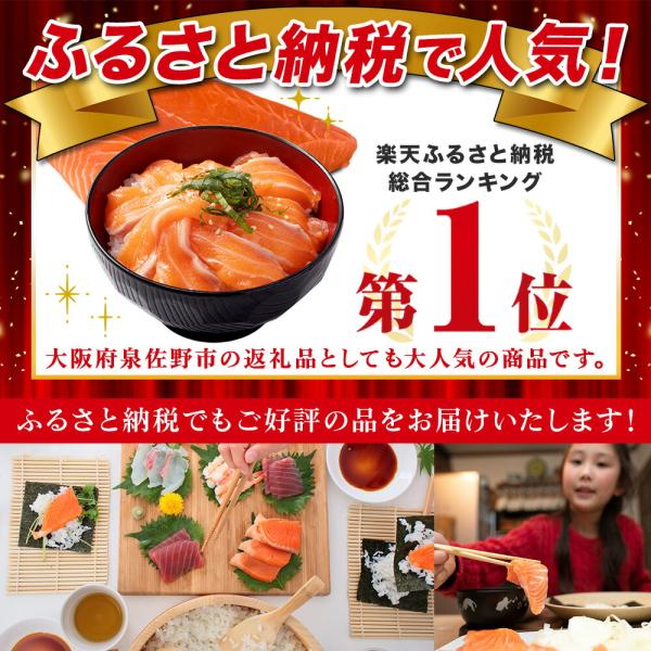 空飛ぶサーモン 400g 200g×2 青空市場 サーモン MOWI ノルウェー産