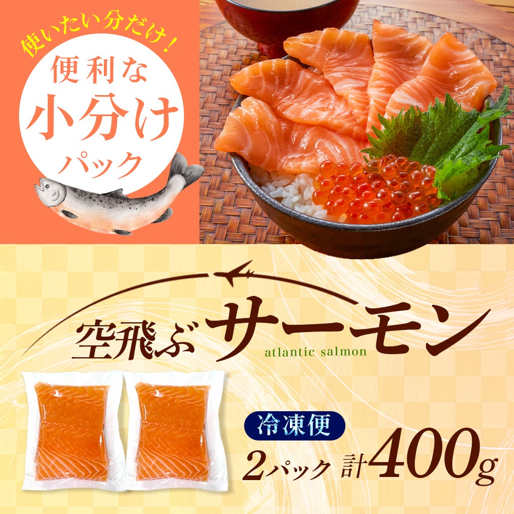 空飛ぶサーモン 400g 200g×2 青空市場 サーモン MOWI ノルウェー産