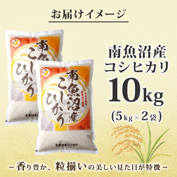» ҥ Aʷ10kg˰   ϶ » Ҥ 㻺 㸩 A      Ϥ ʬ  5kg  10kg  30kg    ľ ľ  ̵