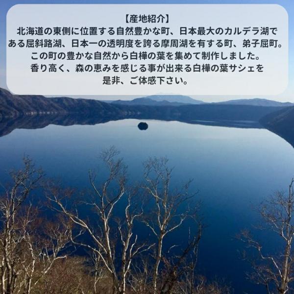 ̳ƻ   ҥ 4 å HOKKAIDO Vihta  ƥȥ  ҶĮ ץ쥼 ӥҥ    £ʪ ƥꥢ   ʪ å ե gift ̹񤫤£ʪ ̵