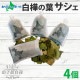 ̳ƻ   ҥ 4 å HOKKAIDO Vihta  ƥȥ  ҶĮ ץ쥼 ӥҥ    £ʪ ƥꥢ   ʪ å ե gift ̹񤫤£ʪ ̵