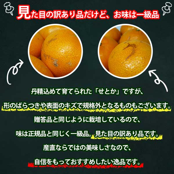 19_000000000664.jpg?1678209904