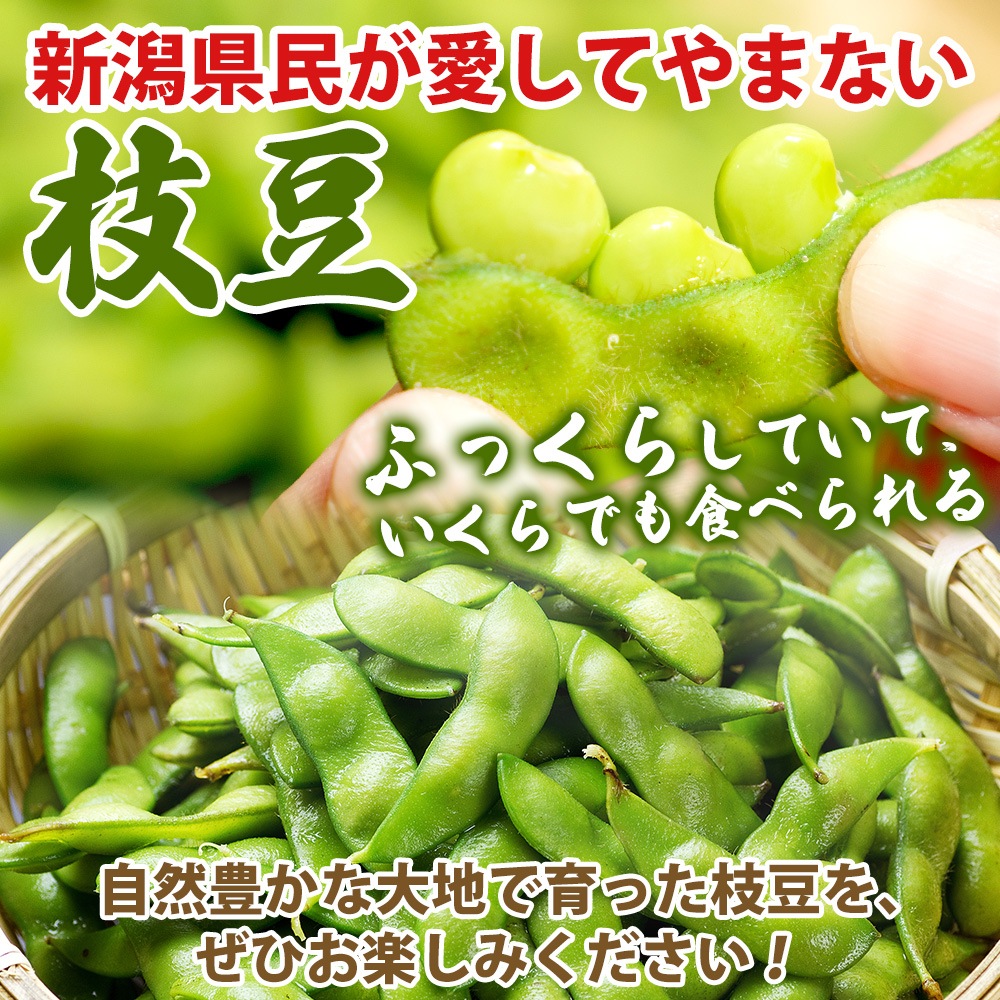 渵 㸩  Ʀ 500g2 1kg ե ľ  īΤ  ޤ Ʀ ޥ Ʀ ޤ ޥ   䤵 Ĥޤ £ʪ £ ˫  Ĵ ¢ ̵ вͽꡧ7ܡ9ȯ