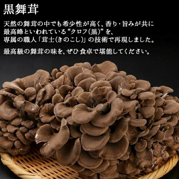 3_000000000966.jpg?1705535646