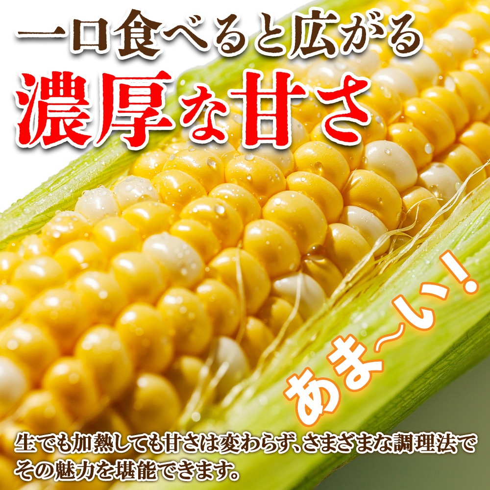 ̳ƻ  Ȥ ̣  11 Х顼  ȥ ե 渵 ľ  īΤ    䤵 ľ Ĥޤ īΤ  ƥե 渵 £ £ʪ ˫  Ĵ ¢ вͽꡧ8-9ȯ  Բ