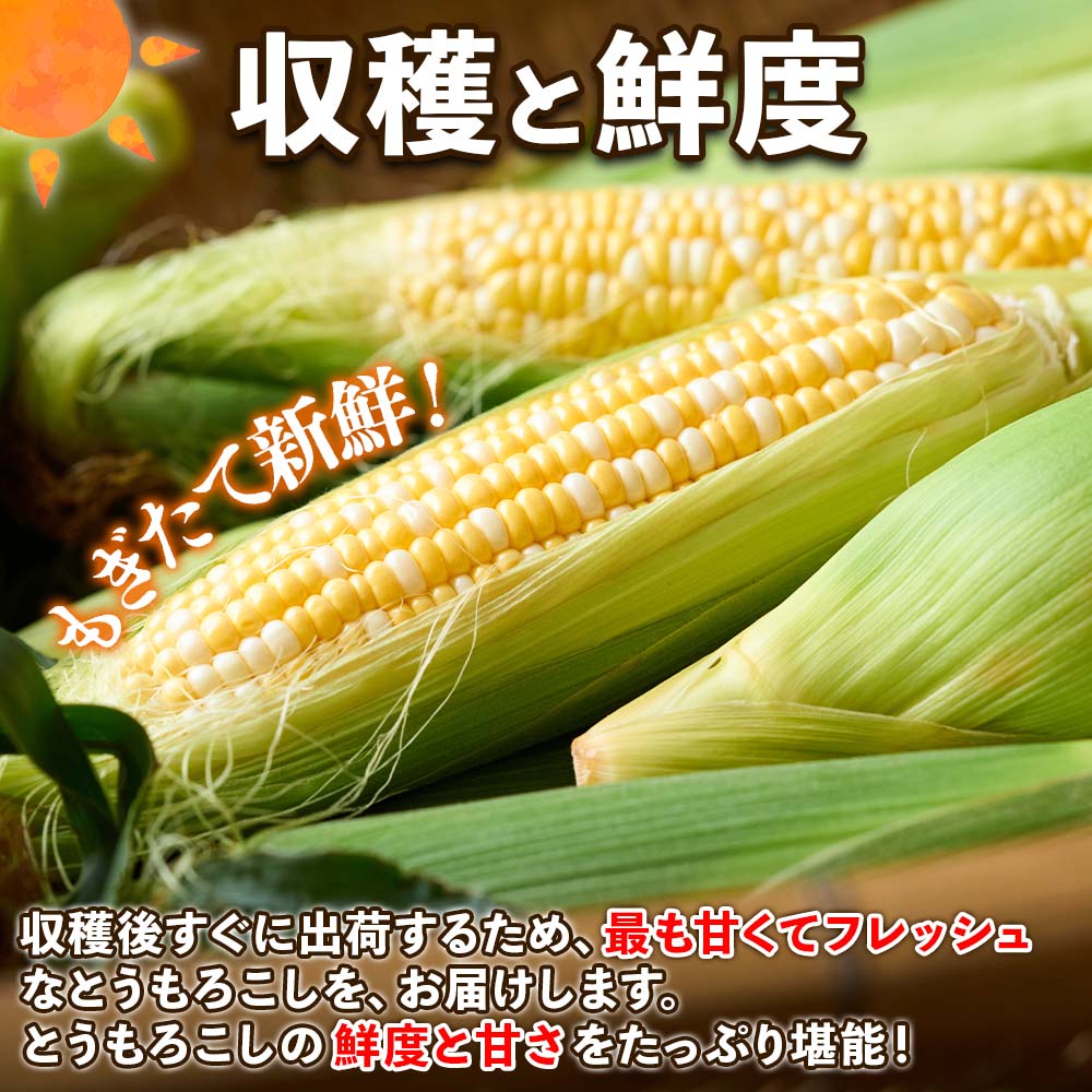 ̳ƻ  Ȥ ̣  22 Х顼  ȥ ե 渵 ľ  īΤ    䤵 ľ Ĥޤ īΤ  ƥե 渵 £ £ʪ ˫  Ĵ ¢ вͽꡧ8-9ȯ Բ