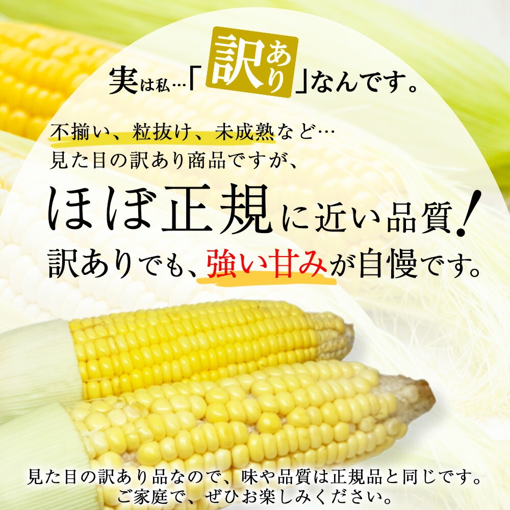 とうもろこし様 リクエスト 2点 まとめ商品 モロコシ様 リクエスト 2点 まとめ商品 - メルカリ