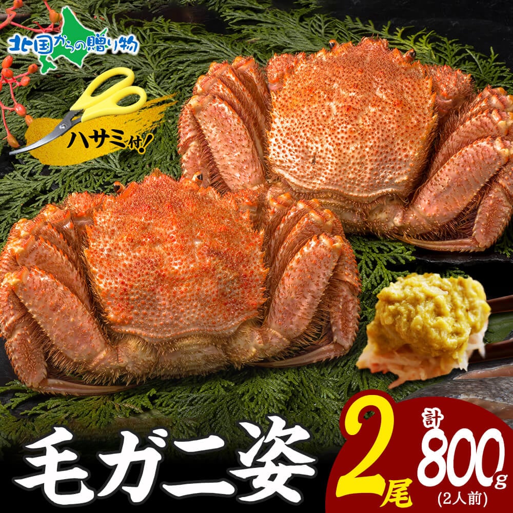 毛ガニ 姿 2尾 計800g 2人前 1尾400g ボイル 蟹身 蟹味噌 かに カニ 蟹