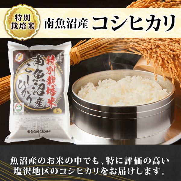 令和7年産 新米予約】南魚沼産 コシヒカリ 特A（計5kg） 備蓄 特別栽培