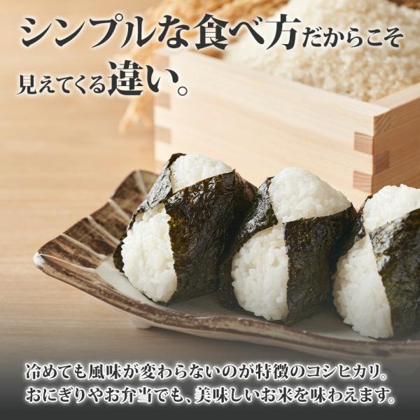 令和7年産 新米】南魚沼産 コシヒカリ 特A（計5kg） 備蓄 特別栽培米