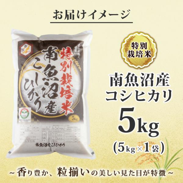 令和7年産 新米予約】南魚沼産 コシヒカリ 特A（計5kg） 備蓄 特別栽培