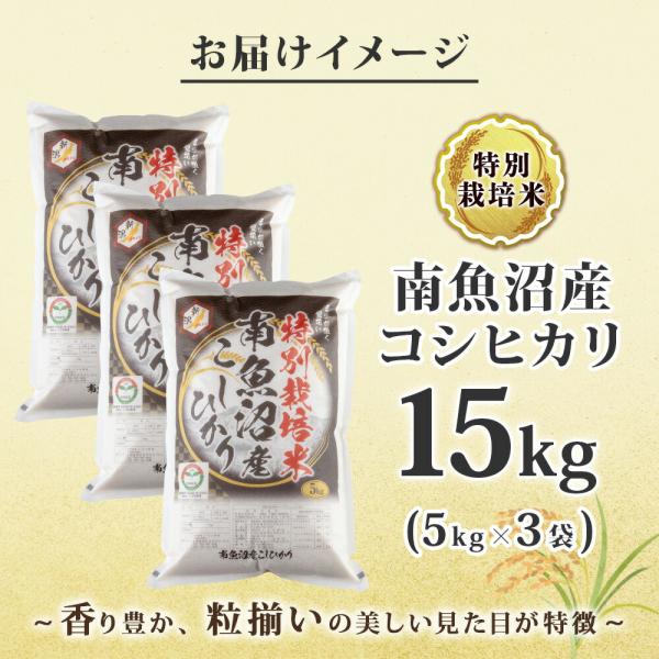 » ҥ Aʷ15kg  ̺  ϶ » Ҥ 㻺 㸩 A      Ϥ ʬ  5kg  10kg  30kg    ̵ ̹񤫤£ʪ