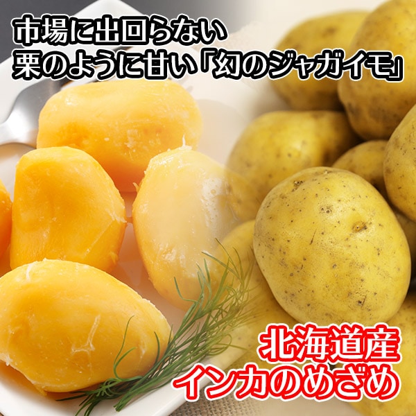 エゾモモンガ ✿( 'ч' )ŧ‹”ŧ‹”✿ #エゾモモンガ #モモンガ