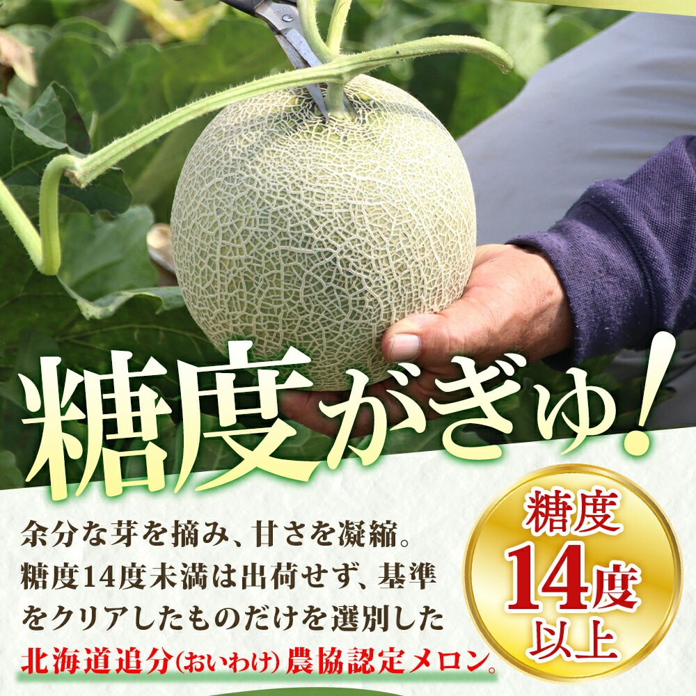 アサヒメロン通販｜とびきりの甘さが自慢のアサヒメロン