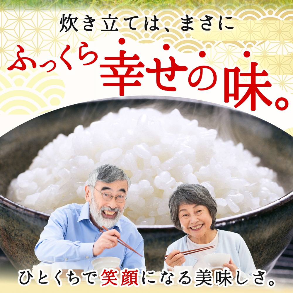 父の日 お米 ギフト 岩手県産 お米食べ比べ【金銀銅3種セット(お米3合