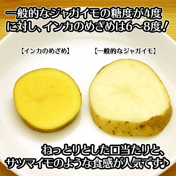 インカのめざめ10kg｜北海道の黄金じゃがいもを通販でお取り寄せ