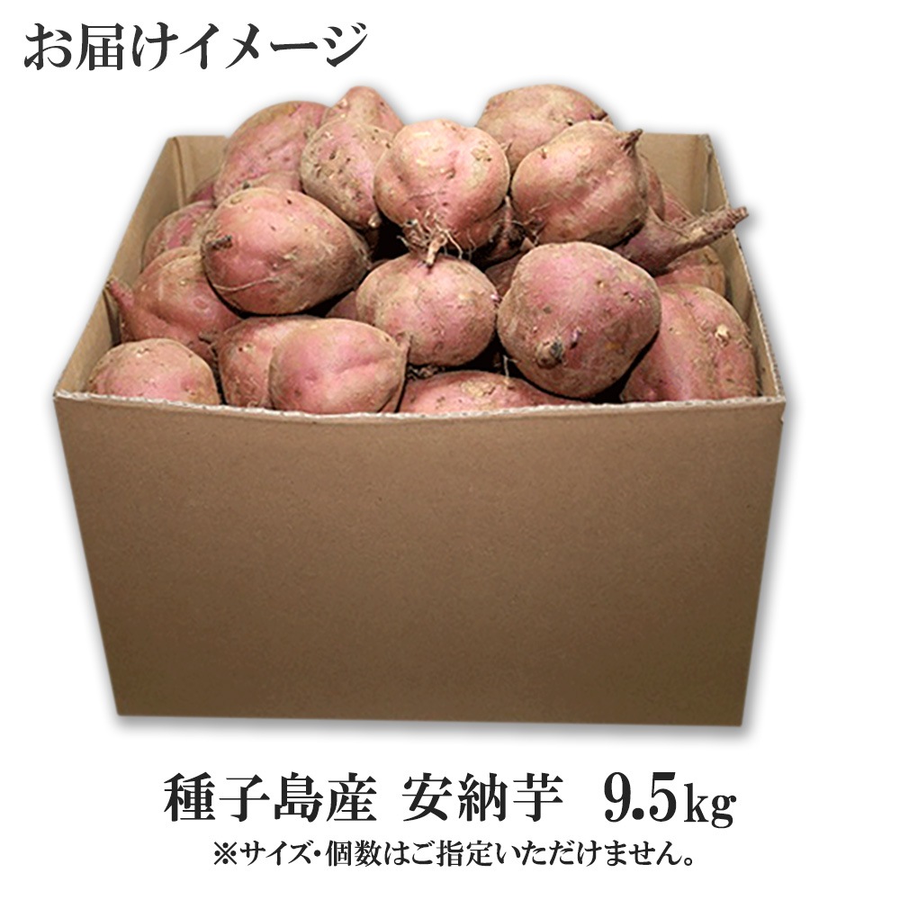 绺 Ǽ 9.5kg Ĥޤ ĥޥ Ƥ ̪ ̵ ̹񤫤£ʪ вͽꡧ11ܡ11ܽвͽ Բ