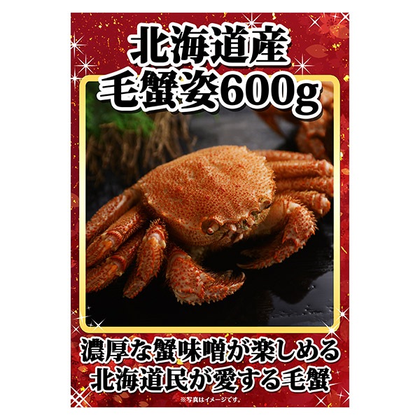 ᥮եȷϿӳ 600g/ӳ ӥ  /Ͽ  ѥͥ  եȷ   ղ ̲ 뺧 󼡲 Ϫ  ǯ  Ͽե եȷ Ͽ  ѥͥ ӥ ե  եȷ Ͽ ʥѥͥ ᥮ե ̵