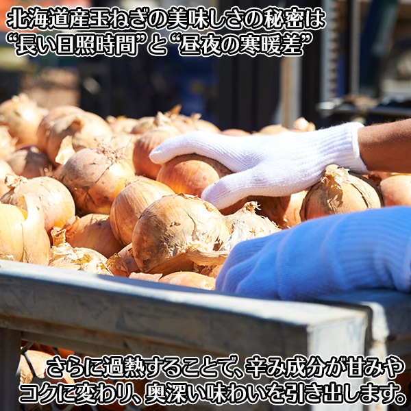 ̳ƻ ޤͤ ̤ͤ ˥󥹡 饤 ˥ ȥ  ¨ 30 ᡼  ̵ Բ Բ