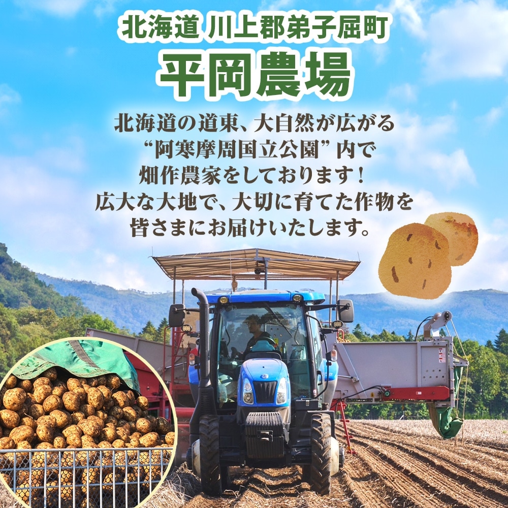 北海道 平岡農場 インカのめざめ(SML混合) 10kg いんかの目覚め
