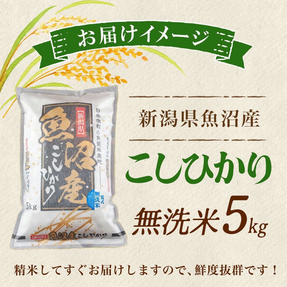 新米】入荷次第順次発送 無洗米 令和7年産 新潟県 魚沼産 コシヒカリ