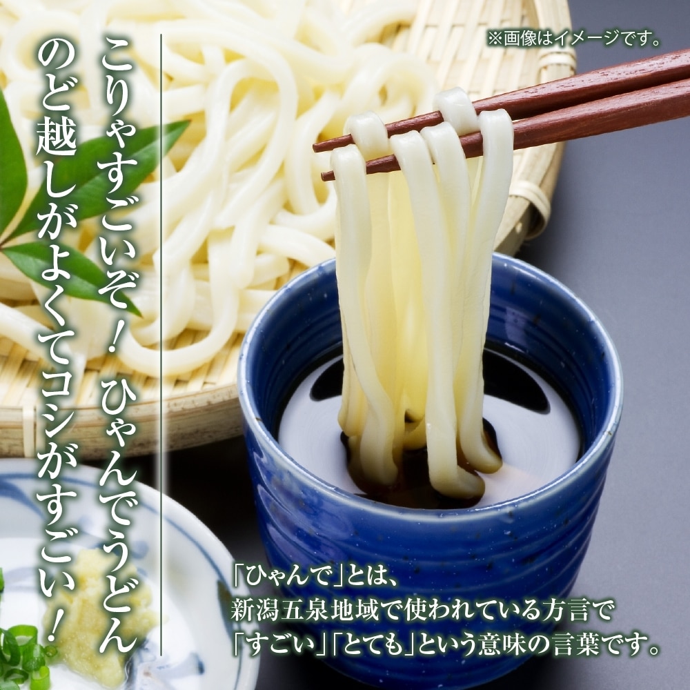ひゃんで うどん 600g 20袋 饂飩 ウドン 干しうどん ざるうどん かけ
