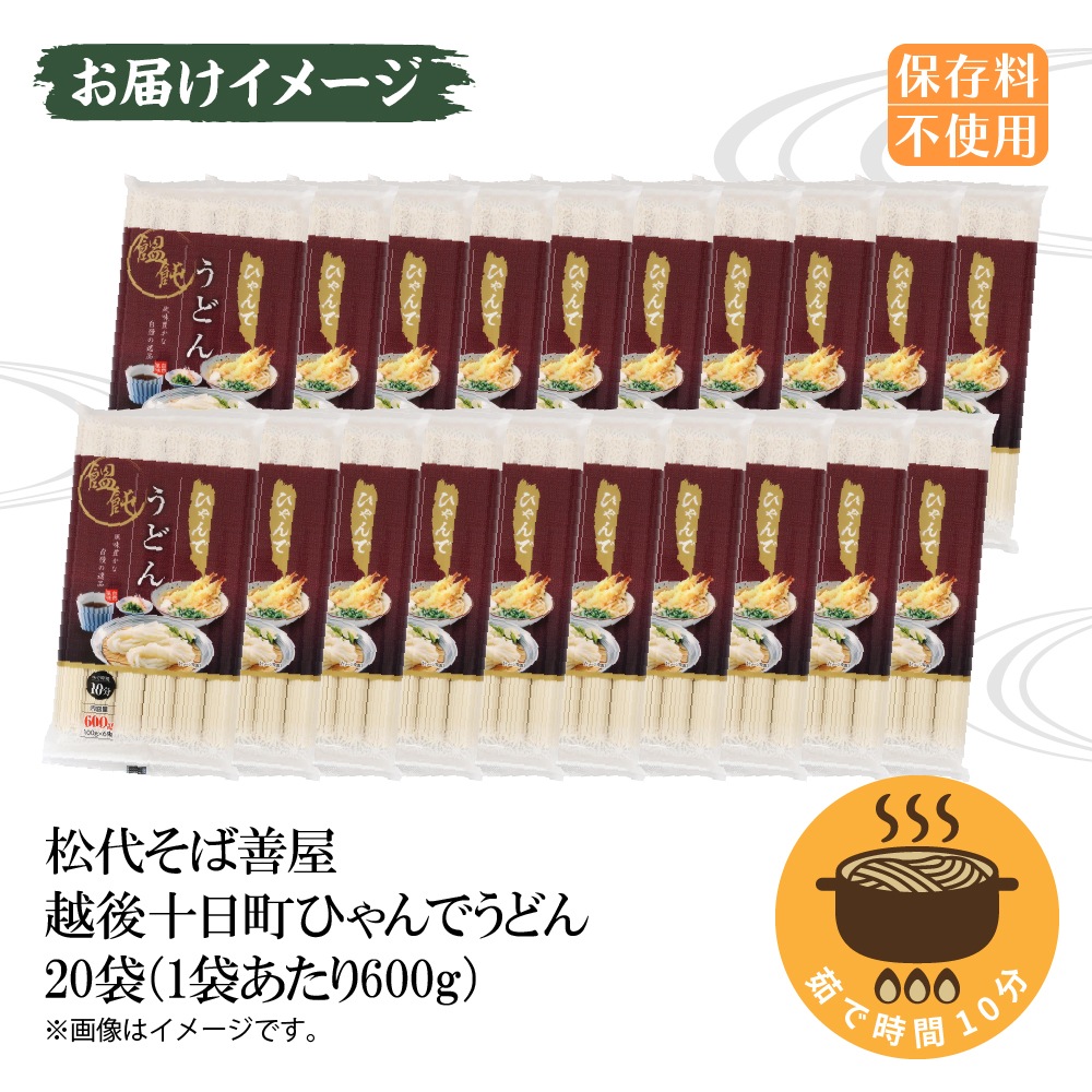 ひゃんで うどん 600g 20袋 饂飩 ウドン 干しうどん ざるうどん かけ