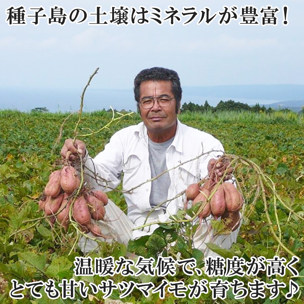 绺 Ǽ 1.8kg Ĥޤ ĥޥ Ƥ ̪ ̵ ̹񤫤£ʪ вͽꡧ11ܡ11ܽвͽ Բ