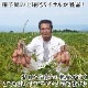 绺 Ǽ 1.8kg Ĥޤ ĥޥ Ƥ ̪ ̵ ̹񤫤£ʪ вͽꡧ11ܡ11ܽвͽ Բ