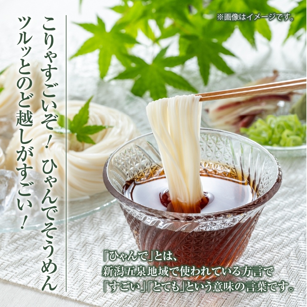 ひゃんで そうめん 600g 12袋 素麺 ソーメン 干しそうめん にゅうめん