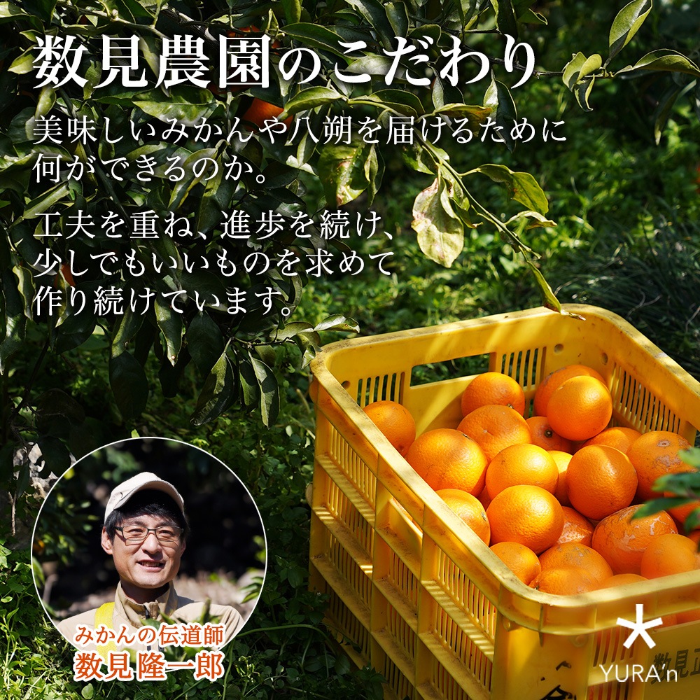 14_000000000997.jpg?1709517400