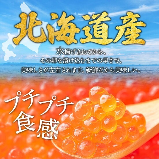 6_000000001298.jpg?1735016731