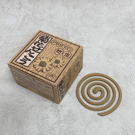 菊花せんこう｜ロイヤルガーデナーズクラブ公式通販