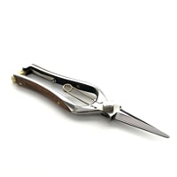 ��������եȡ�������SP bubinga�ʥ��եȥ�åԥ��ʡ�