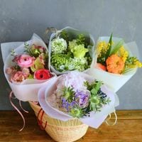 ����� �ե����եȥ����åȡ��ɥ饤�ե롼�ĥ��å�