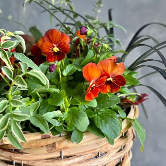 ����δ󤻿���