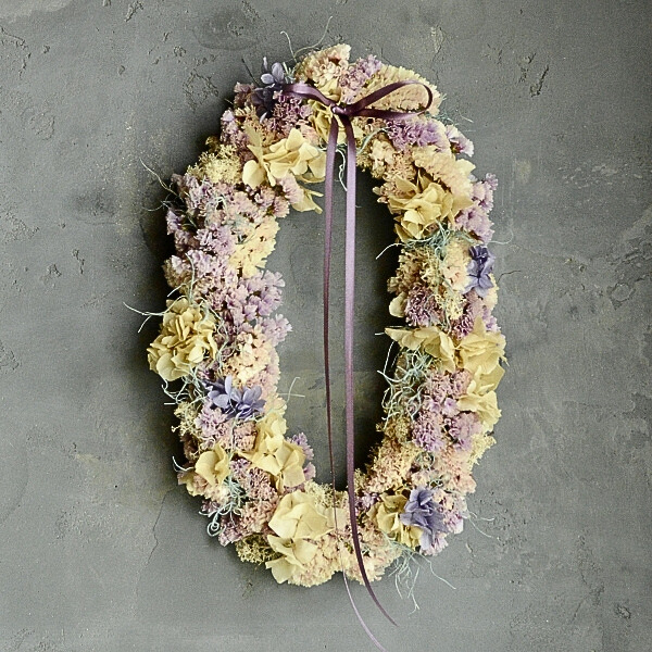 ����� �ɥ饤�ե��꡼��