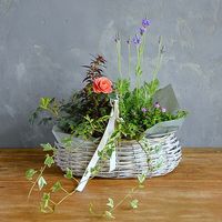 ����� �󤻥���