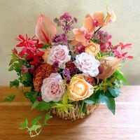 ��Ϸ�������եȡ��Х����åȥ���󥸥��� L